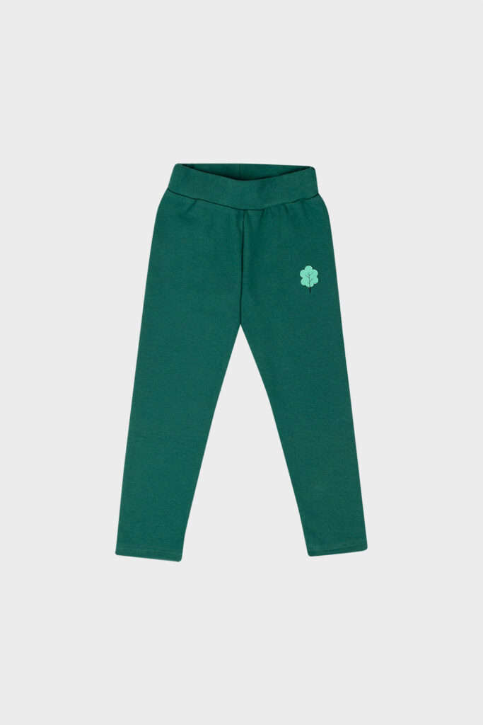 legginsy-dla-dziecka-zielony-lisc-gagats-packshot